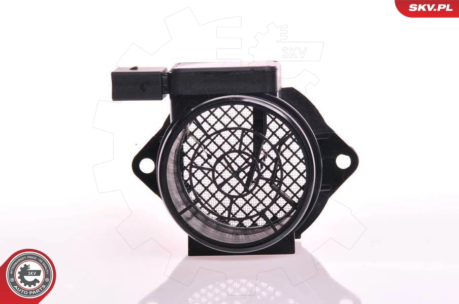 Mass Air Flow Sensor
